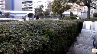 青青伊人一区二区|亚洲精品99久久久久中文字幕